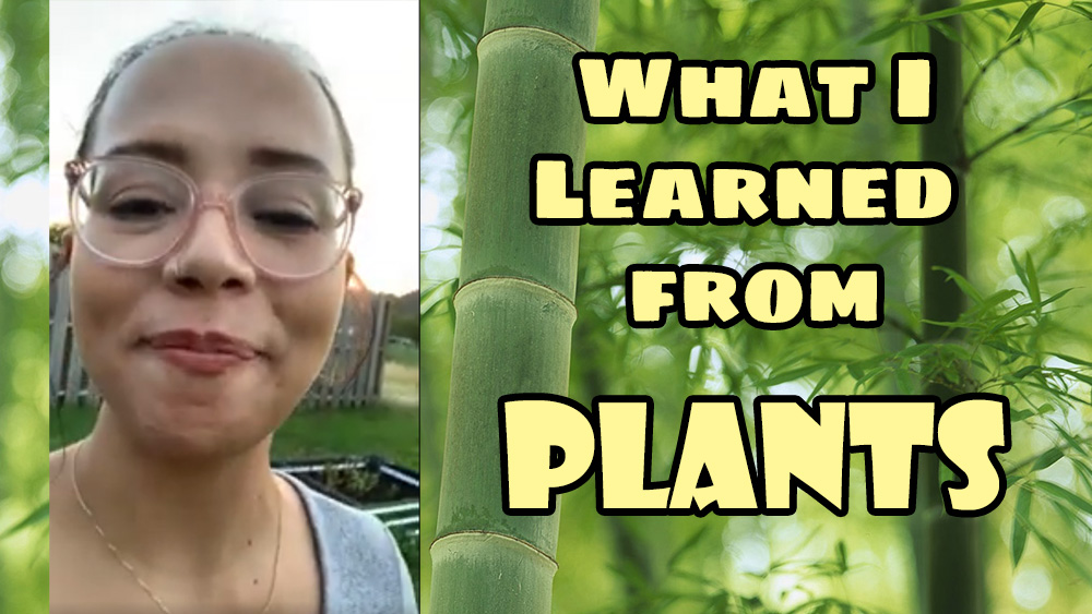 What I Learned From Plants Image